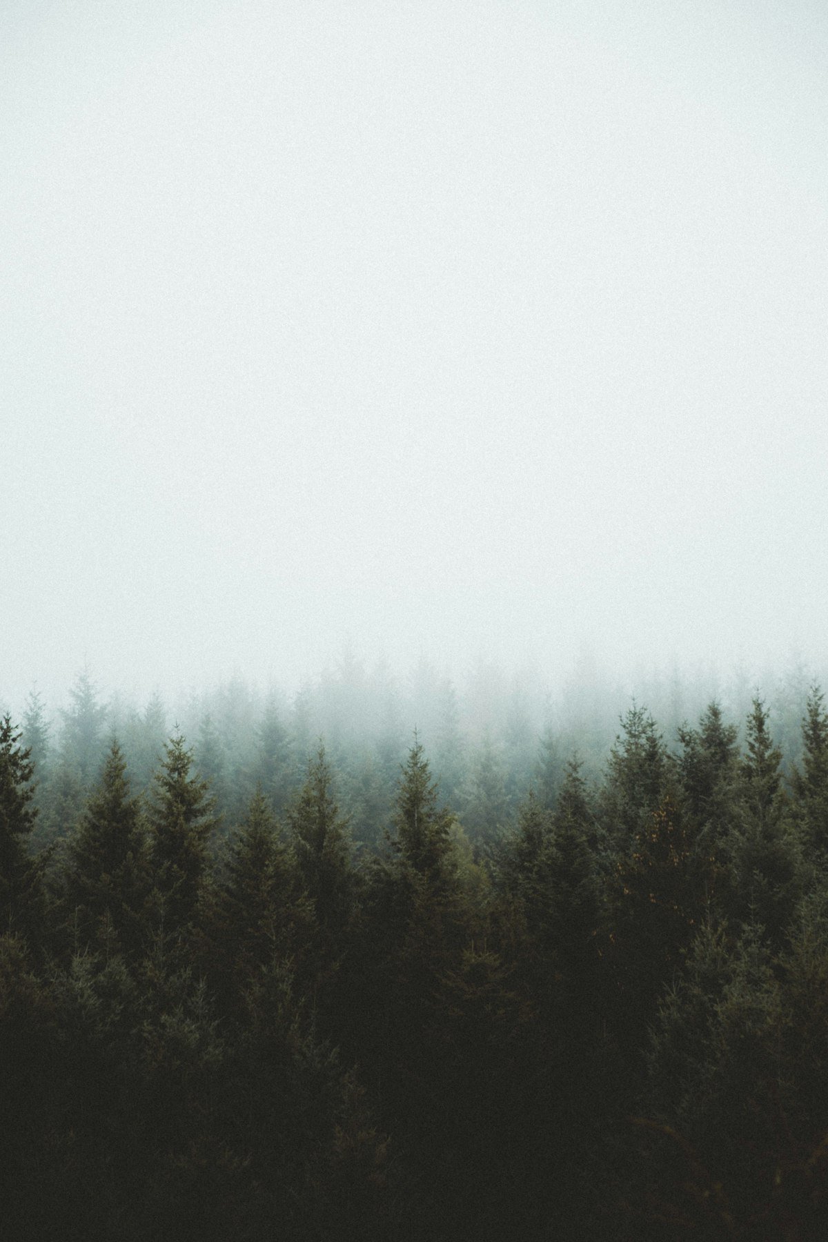 صورة تعبيرية حصرية تشرح موضوع مخبز